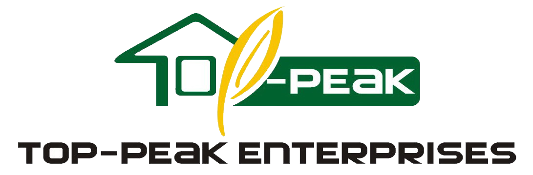 zbtop-peak.com 